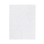 Quiet Luxury Velveteen Blanket